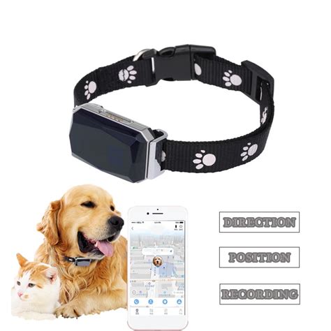 dog collar tracker